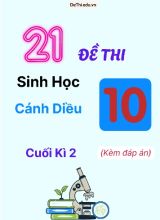 Bộ 21 Đề thi Sinh học 10 Cánh Diều cuối kì 2 (Kèm đáp án)